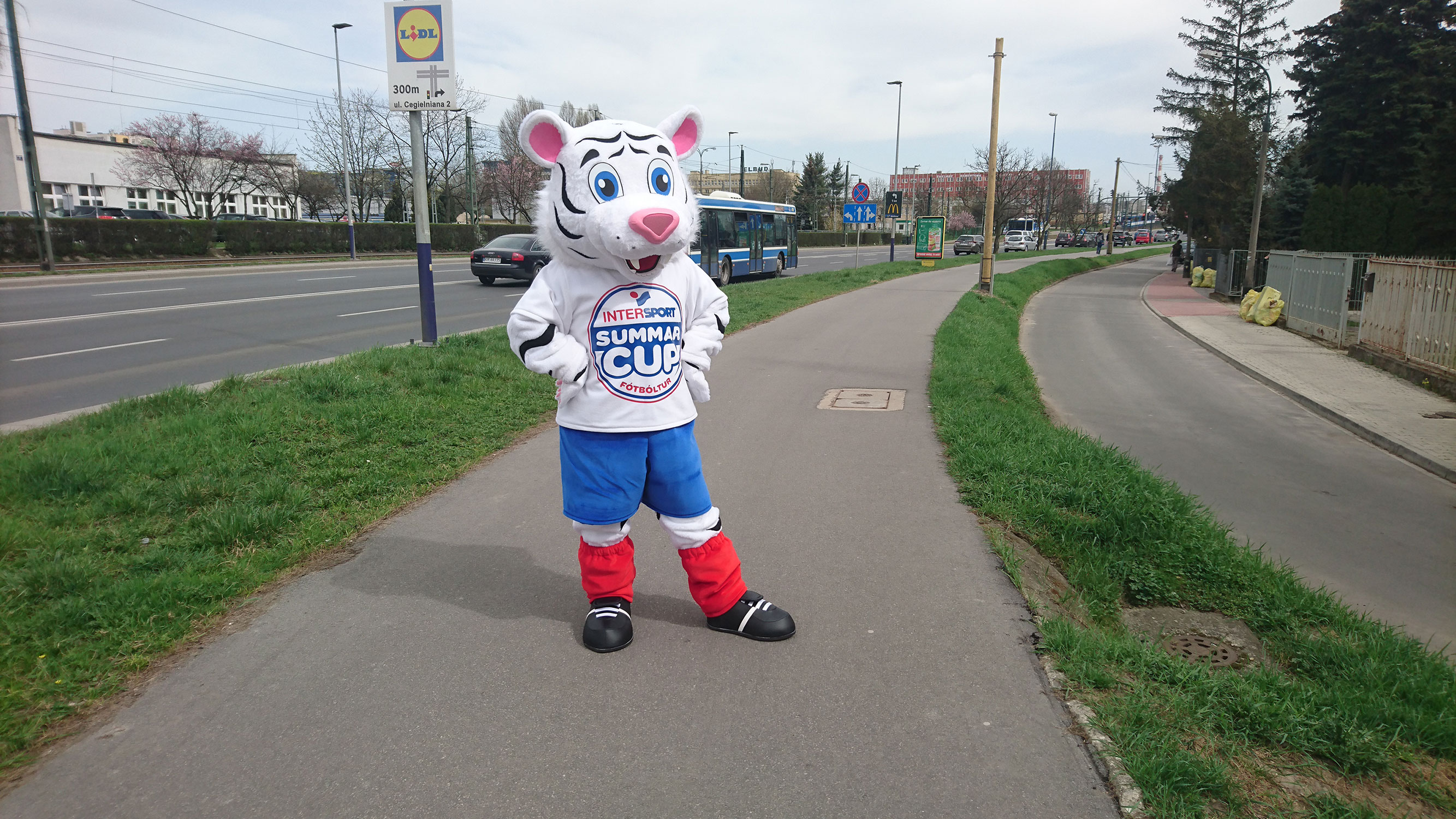 Na fotografii widnieje kostium reklamowy tygrysek strój żywa maskotka InterSport pozujący do zdjęcia przed siedzibą firmy Elabika stroje reklamowe